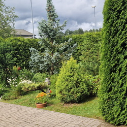 Eriauhind liigirikas väikeaed perekond Chuykini aed Uuesalus